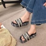 D Home Letter Embroidered Thick Slippers 2026 Spring and Summer New Korean Fashion Height Increased Outdoor One-word Sandals for Women - Image 8