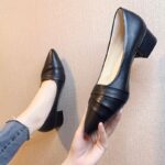 Pointed-toe high heels, 2026 new spring style, women's mid-heel, black soft-soled leather shoes, chunky heel, work shoes.