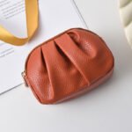 Yue Qiankai Women's Coin Card Bag Mini Small Bag Double-Layer Zipper with Key Large Capacity Headphones Lipstick Cosmetic Bag