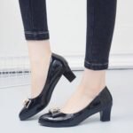 2025 New Women's Shoes Women's Fashion Shoes Pu Leather Shoes High Heels Pointed Toe Shallow Mouth Slip-On Thick Heels Four Seasons