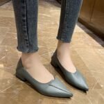 Pointed-Toe Women's Flats 2026 Spring/Summer/Autumn New Style Chunky Heel Flat Loafers Student Shallow Low-Heel Leather Shoes Trendy Women's Shoes - Image 3