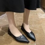 Pointed-Toe Women's Flats 2026 Spring/Summer/Autumn New Style Chunky Heel Flat Loafers Student Shallow Low-Heel Leather Shoes Trendy Women's Shoes - Image 2