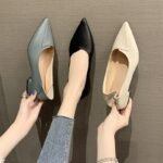 Pointed-Toe Women's Flats 2026 Spring/Summer/Autumn New Style Chunky Heel Flat Loafers Student Shallow Low-Heel Leather Shoes Trendy Women's Shoes - Image 8