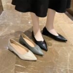 Pointed-Toe Women's Flats 2026 Spring/Summer/Autumn New Style Chunky Heel Flat Loafers Student Shallow Low-Heel Leather Shoes Trendy Women's Shoes - Image 5