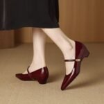 2026 Spring New Style French Retro Pointed Toe Chunky Heel Shallow Mouth Patent Leather Women's Shoes with Single Strap Mary Jane Shoes - Image 3