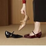 2026 Spring New Style French Retro Pointed Toe Chunky Heel Shallow Mouth Patent Leather Women's Shoes with Single Strap Mary Jane Shoes - Image 5