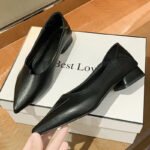 Pointed-Toe Women's Flats 2026 Spring/Summer/Autumn New Style Chunky Heel Flat Loafers Student Shallow Low-Heel Leather Shoes Trendy Women's Shoes - Image 7
