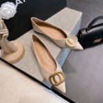 Pointed Toe Flats for Women 2026 New Fairy Shoes Gentle Flat Shoes for Women with Unique Design Niche Large Sizes 41 to 43 - Image 5